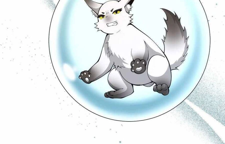 Ánh Sáng Cuối Con Đường Chapter 143 - 181