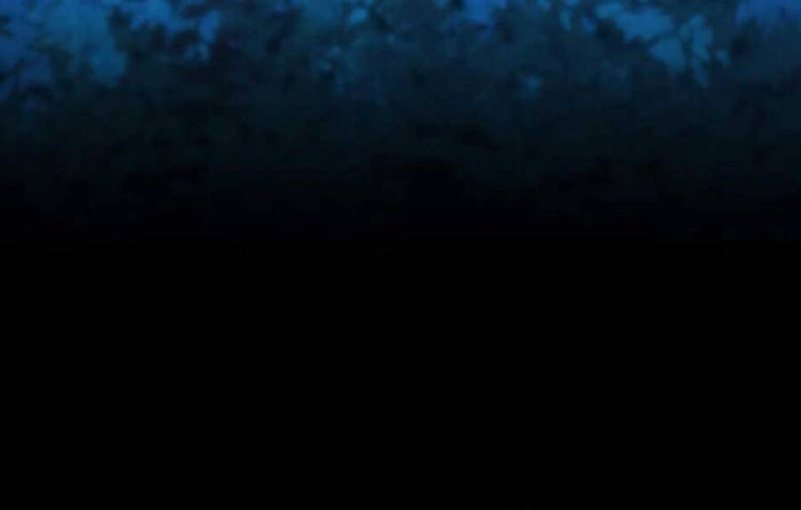 Ánh Sáng Cuối Con Đường Chapter 148 - 30