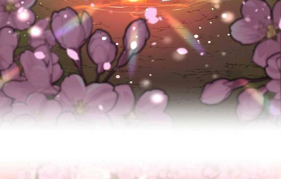 Ánh Sáng Cuối Con Đường Chapter 150 - 244