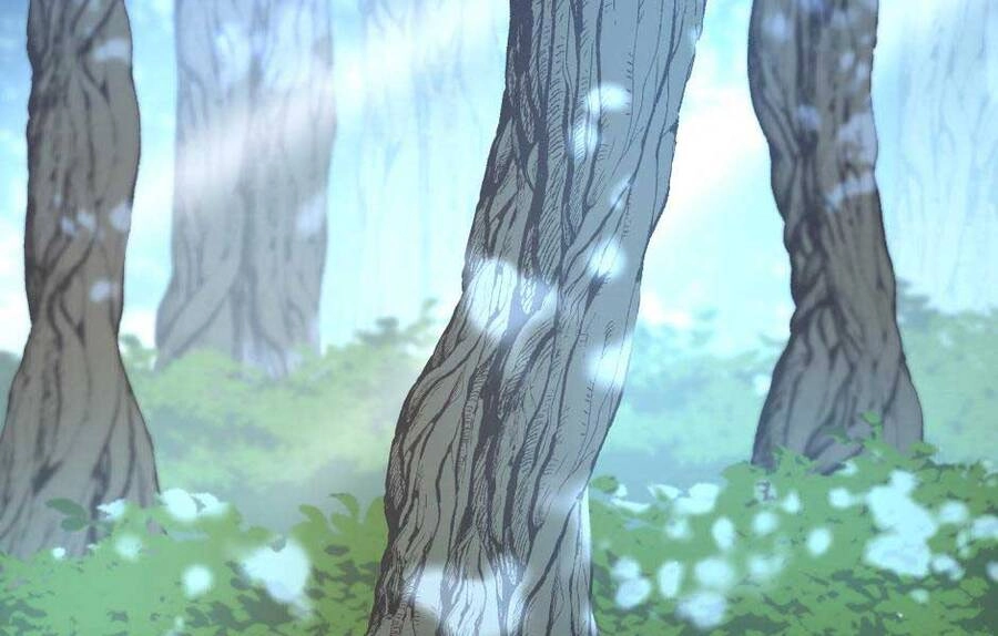 Ánh Sáng Cuối Con Đường Chapter 155 - 165