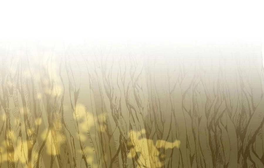 Ánh Sáng Cuối Con Đường Chapter 155 - 214