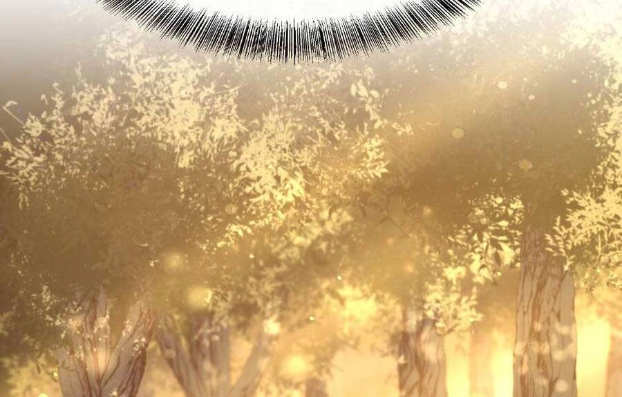 Ánh Sáng Cuối Con Đường Chapter 155 - 264