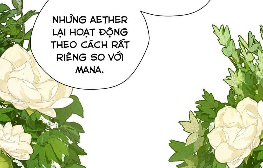 Ánh Sáng Cuối Con Đường Chapter 158 - 204