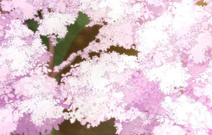 Ánh Sáng Cuối Con Đường Chapter 160 - 166