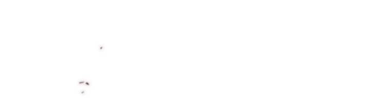 Gọi Ta Là Chủ Nhân Chapter 3.2 - 45