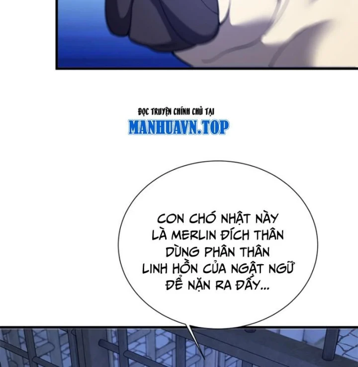 Ta Học Trảm Thần Trong Bệnh Viện Tâm Thần Chapter 311 - 61