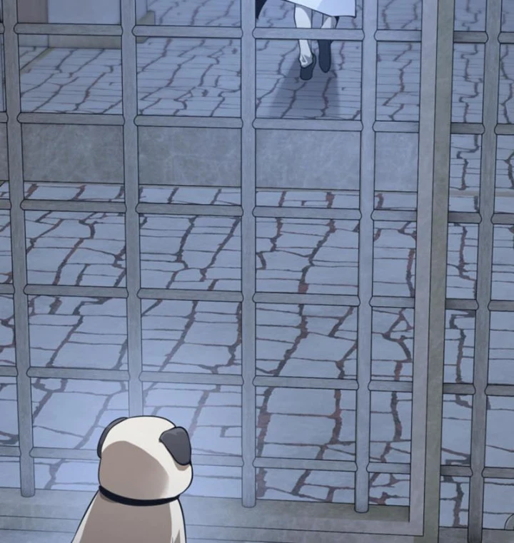 Ta Học Trảm Thần Trong Bệnh Viện Tâm Thần Chapter 312 - 16