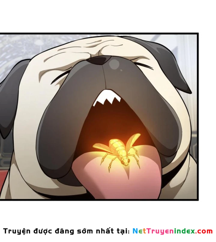 Ta Học Trảm Thần Trong Bệnh Viện Tâm Thần Chapter 312 - 34