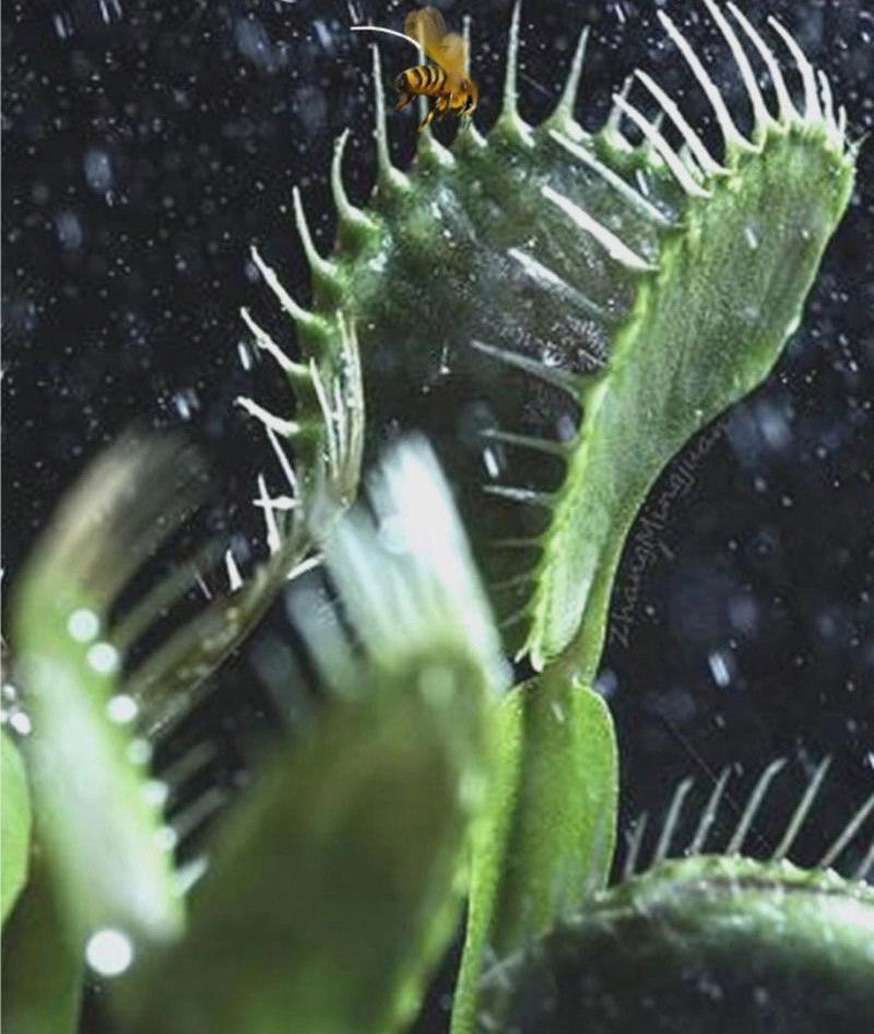 Ta Có 90 Tỷ Tiền Liếm Cẩu! Chapter 154 - 8