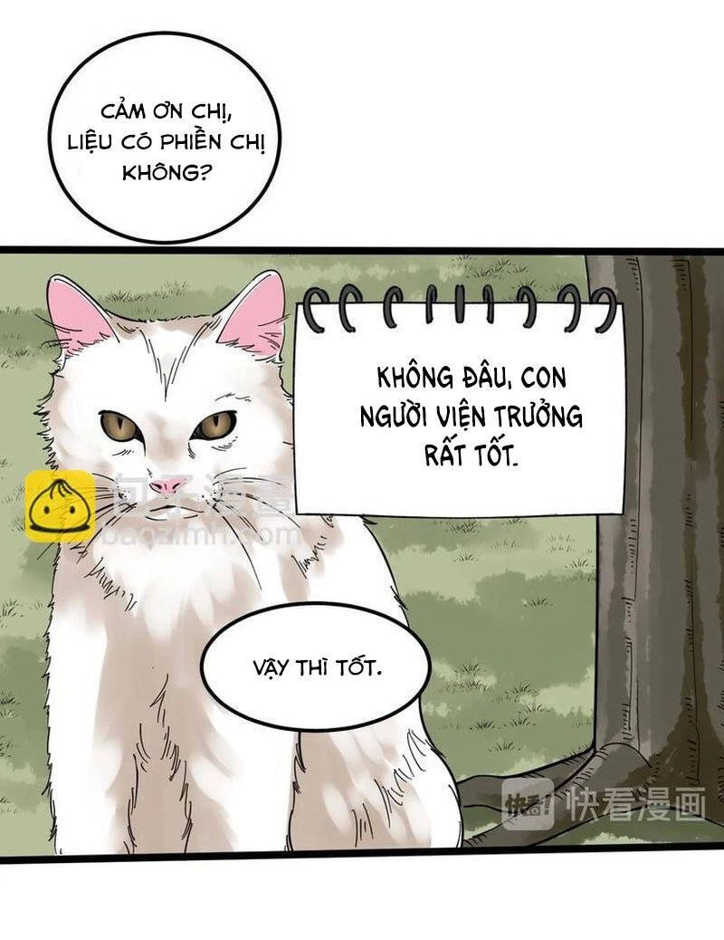 Tinh Thần Đại Hải Của Học Bá Chapter 82 - 29