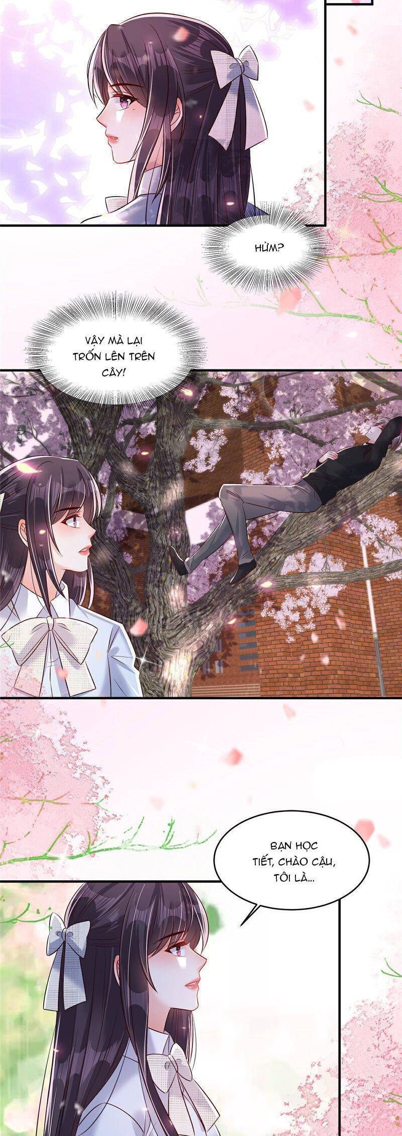 Trọng Sinh Trở Lại: Sủng Nịch Độc Nhất Vô Nhị Chapter 344 - 6