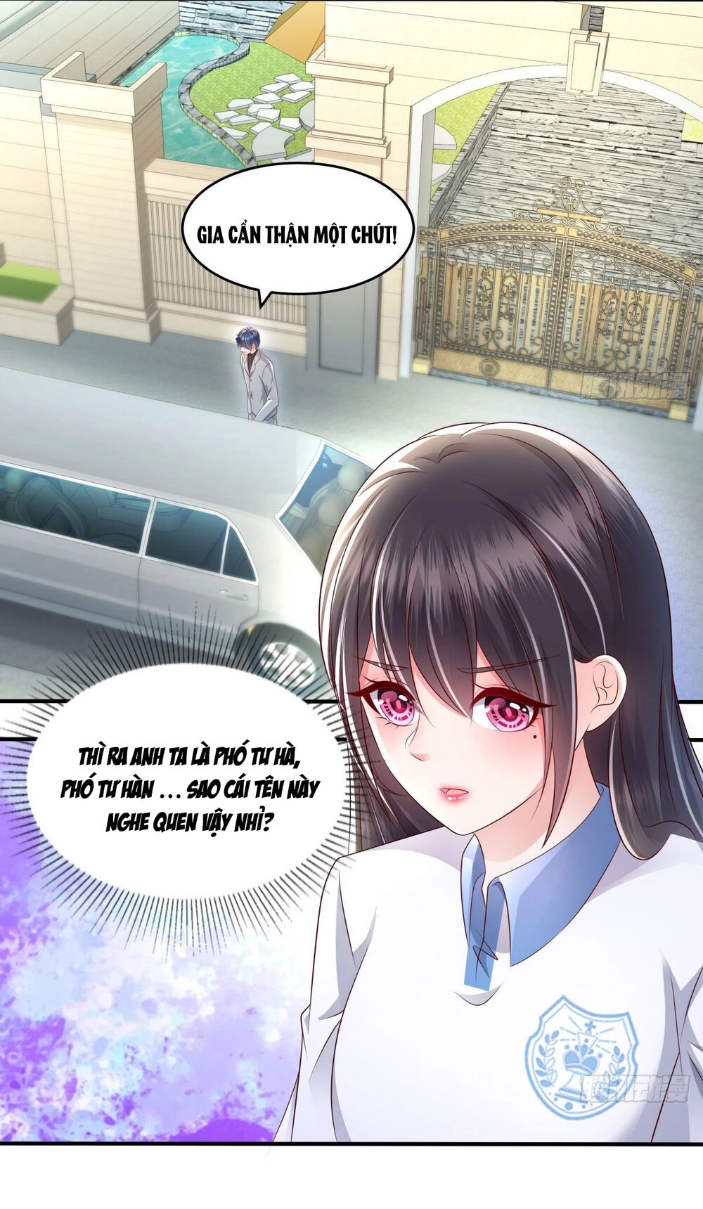 Trọng Sinh Trở Lại: Sủng Nịch Độc Nhất Vô Nhị Chapter 8 - 5