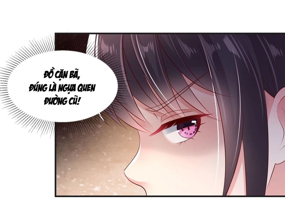 Trọng Sinh Trở Lại: Sủng Nịch Độc Nhất Vô Nhị Chapter 10 - 5