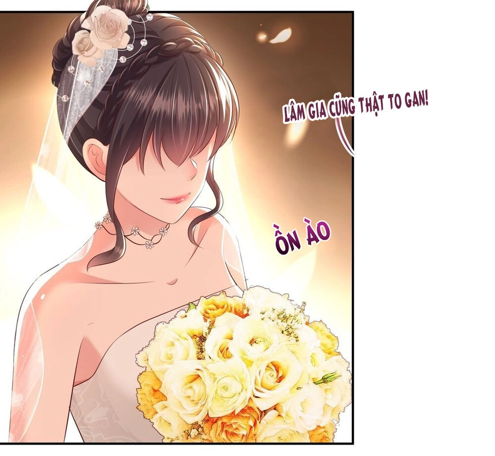 Trọng Sinh Trở Lại: Sủng Nịch Độc Nhất Vô Nhị Chapter 19 - 12