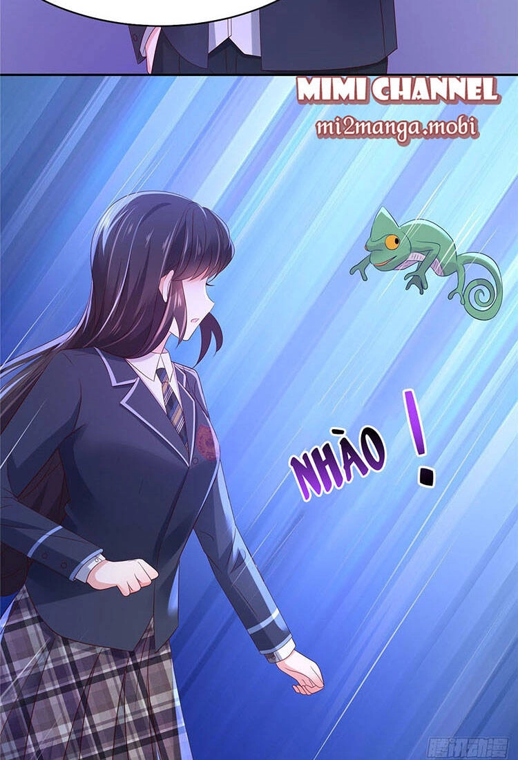 Trọng Sinh Trở Lại: Sủng Nịch Độc Nhất Vô Nhị Chapter 38 - 10