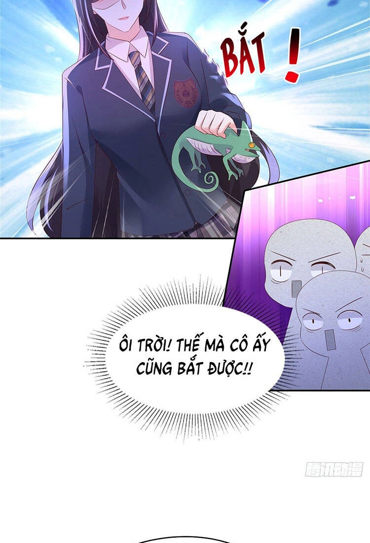 Trọng Sinh Trở Lại: Sủng Nịch Độc Nhất Vô Nhị Chapter 38 - 12