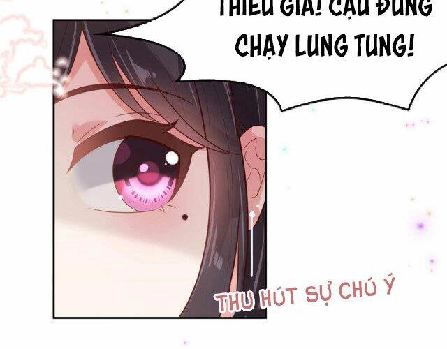 Trọng Sinh Trở Lại: Sủng Nịch Độc Nhất Vô Nhị Chapter 85 - 8
