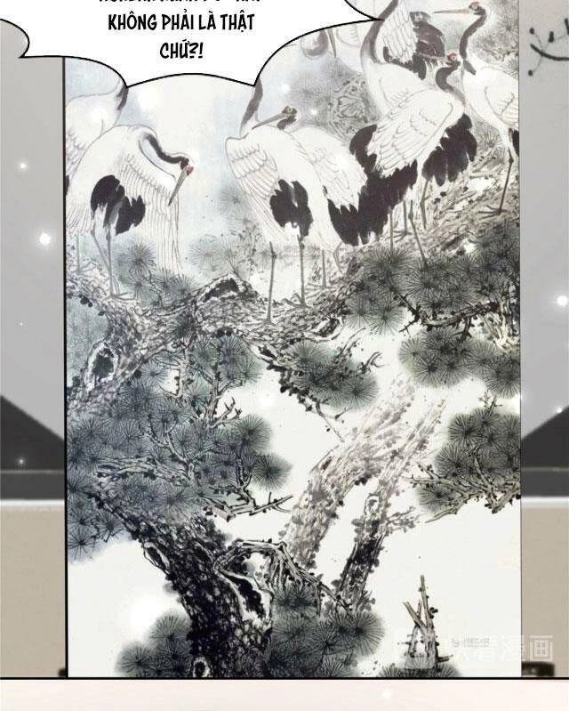 Trọng Sinh Trở Lại: Sủng Nịch Độc Nhất Vô Nhị Chapter 91 - 2