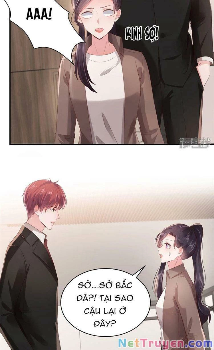 Trọng Sinh Trở Lại: Sủng Nịch Độc Nhất Vô Nhị Chapter 94 - 5