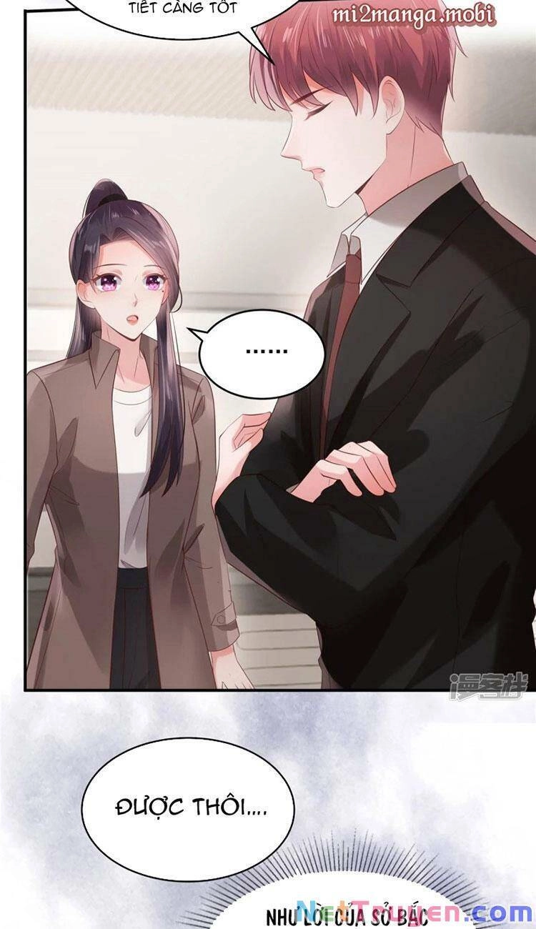 Trọng Sinh Trở Lại: Sủng Nịch Độc Nhất Vô Nhị Chapter 94 - 12