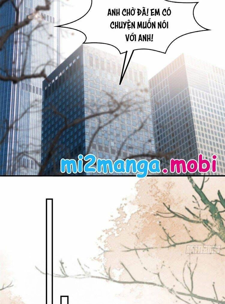 Trọng Sinh Trở Lại: Sủng Nịch Độc Nhất Vô Nhị Chapter 103 - 8