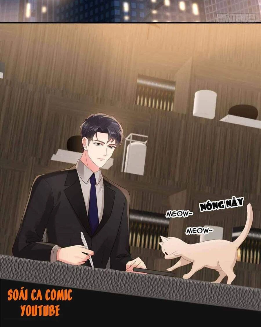 Trọng Sinh Trở Lại: Sủng Nịch Độc Nhất Vô Nhị Chapter 113 - 11