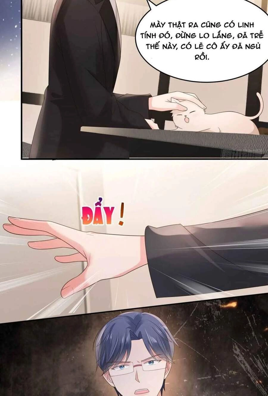 Trọng Sinh Trở Lại: Sủng Nịch Độc Nhất Vô Nhị Chapter 113 - 13