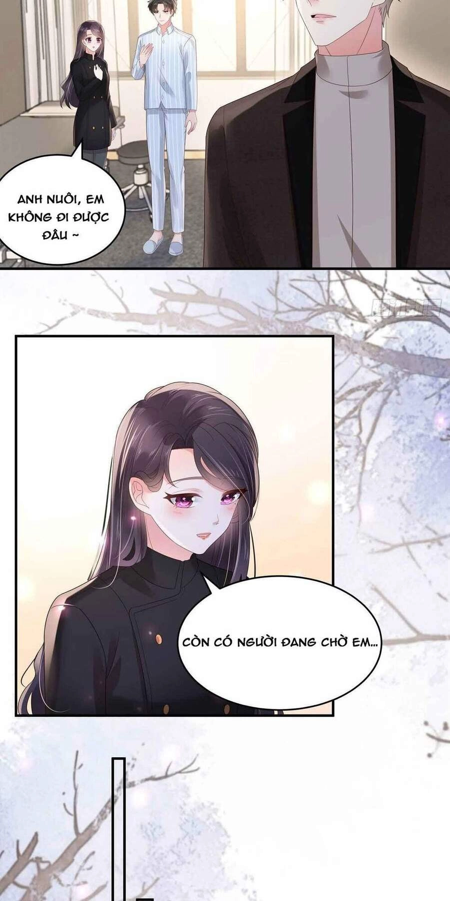 Trọng Sinh Trở Lại: Sủng Nịch Độc Nhất Vô Nhị Chapter 116 - 6