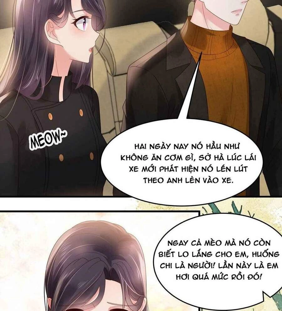 Trọng Sinh Trở Lại: Sủng Nịch Độc Nhất Vô Nhị Chapter 116 - 13