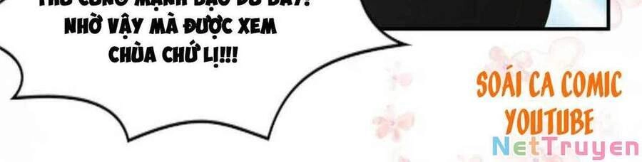 Trọng Sinh Trở Lại: Sủng Nịch Độc Nhất Vô Nhị Chapter 135 - 10