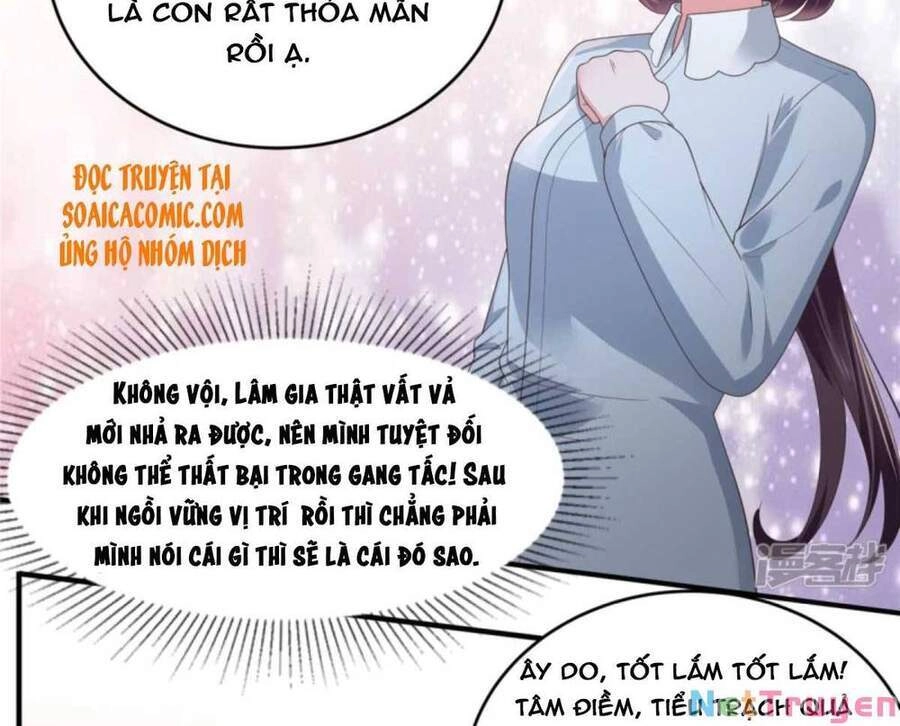 Trọng Sinh Trở Lại: Sủng Nịch Độc Nhất Vô Nhị Chapter 146 - 11