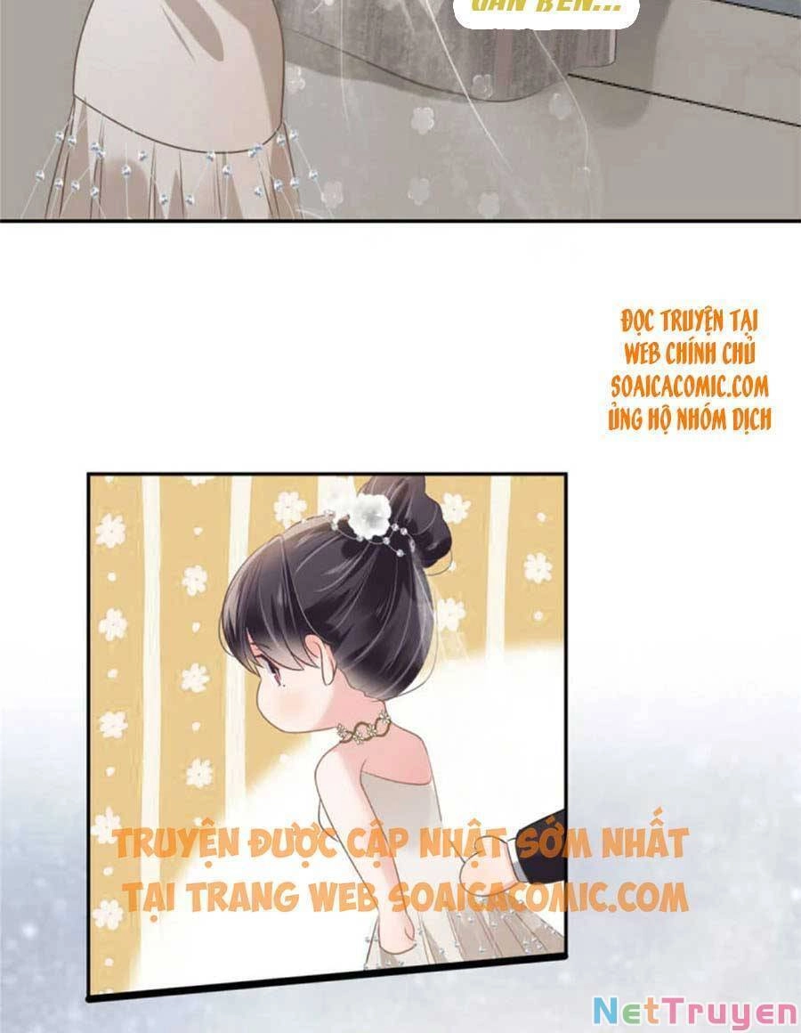 Trọng Sinh Trở Lại: Sủng Nịch Độc Nhất Vô Nhị Chapter 215 - 6