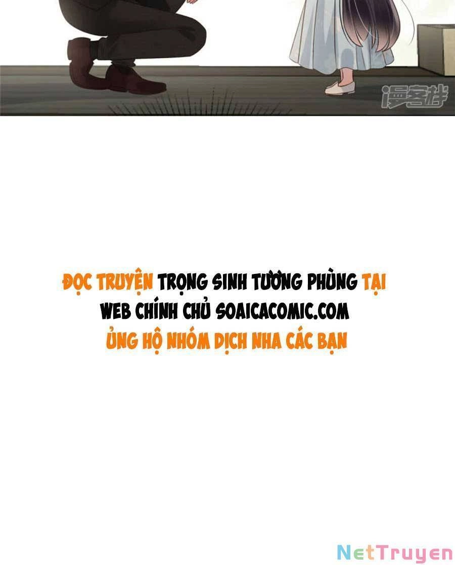 Trọng Sinh Trở Lại: Sủng Nịch Độc Nhất Vô Nhị Chapter 215 - 17