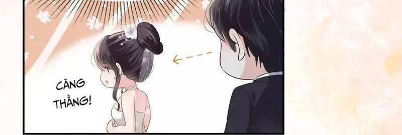 Trọng Sinh Trở Lại: Sủng Nịch Độc Nhất Vô Nhị Chapter 219 - 13