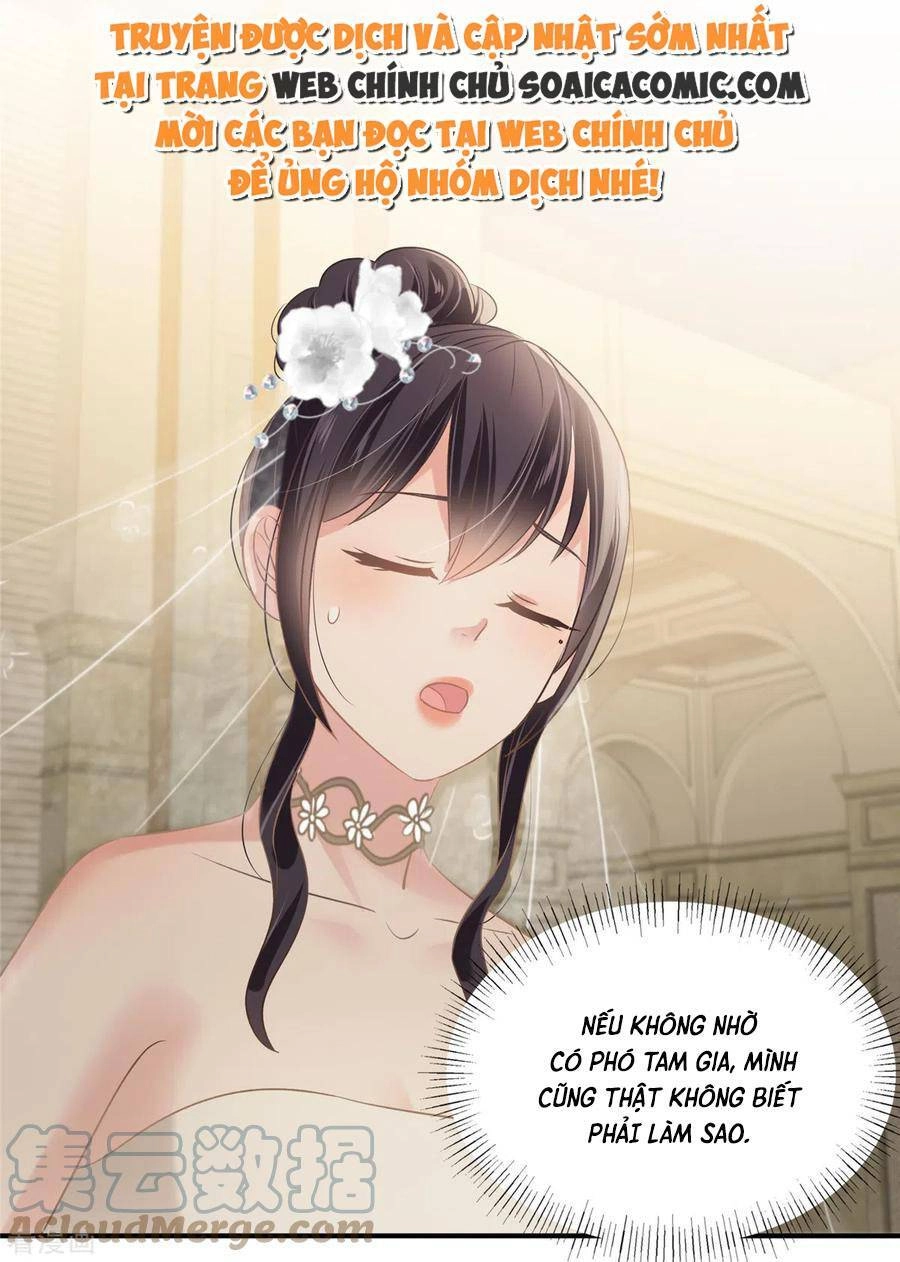 Trọng Sinh Trở Lại: Sủng Nịch Độc Nhất Vô Nhị Chapter 221 - 11