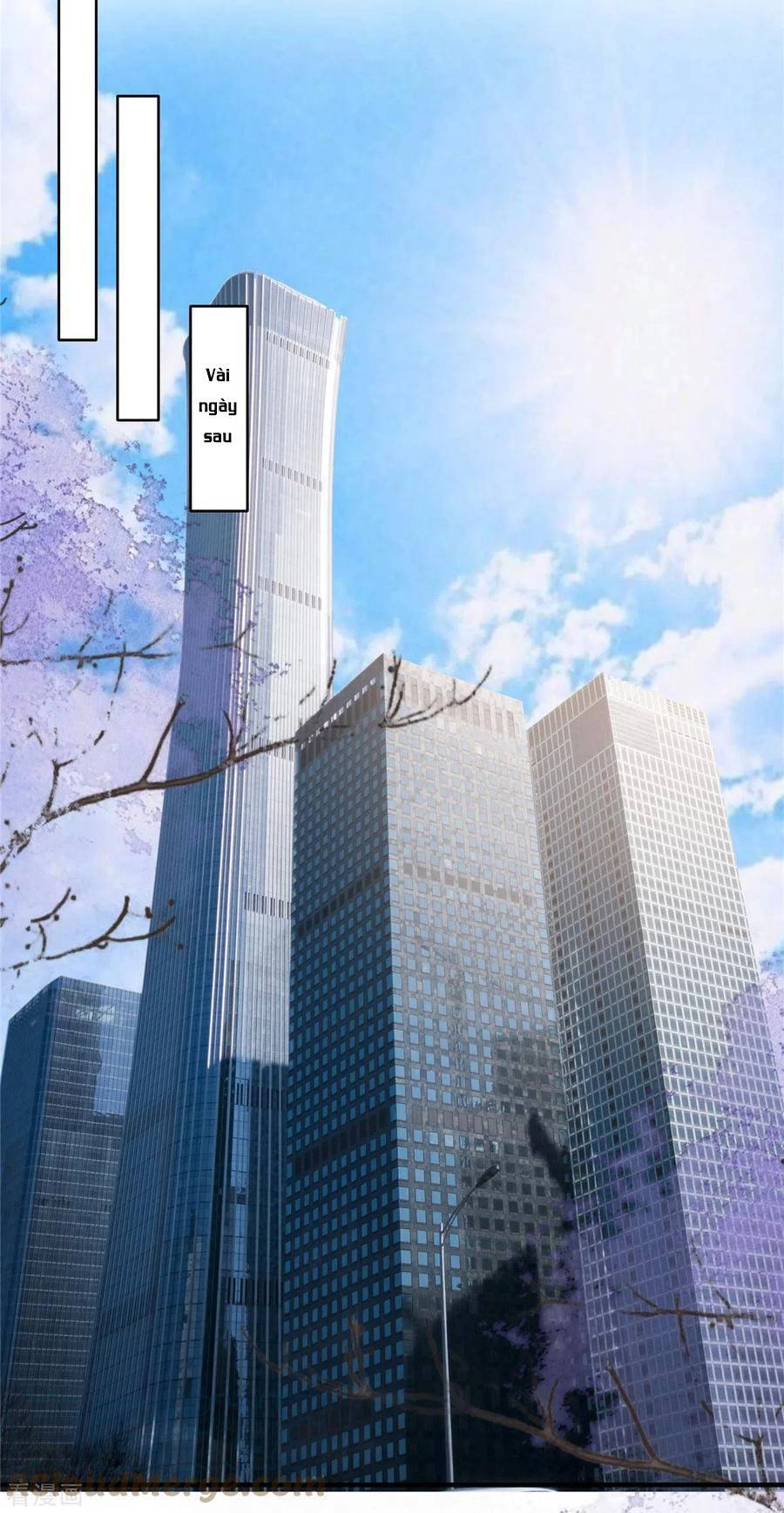 Trọng Sinh Trở Lại: Sủng Nịch Độc Nhất Vô Nhị Chapter 224 - 13