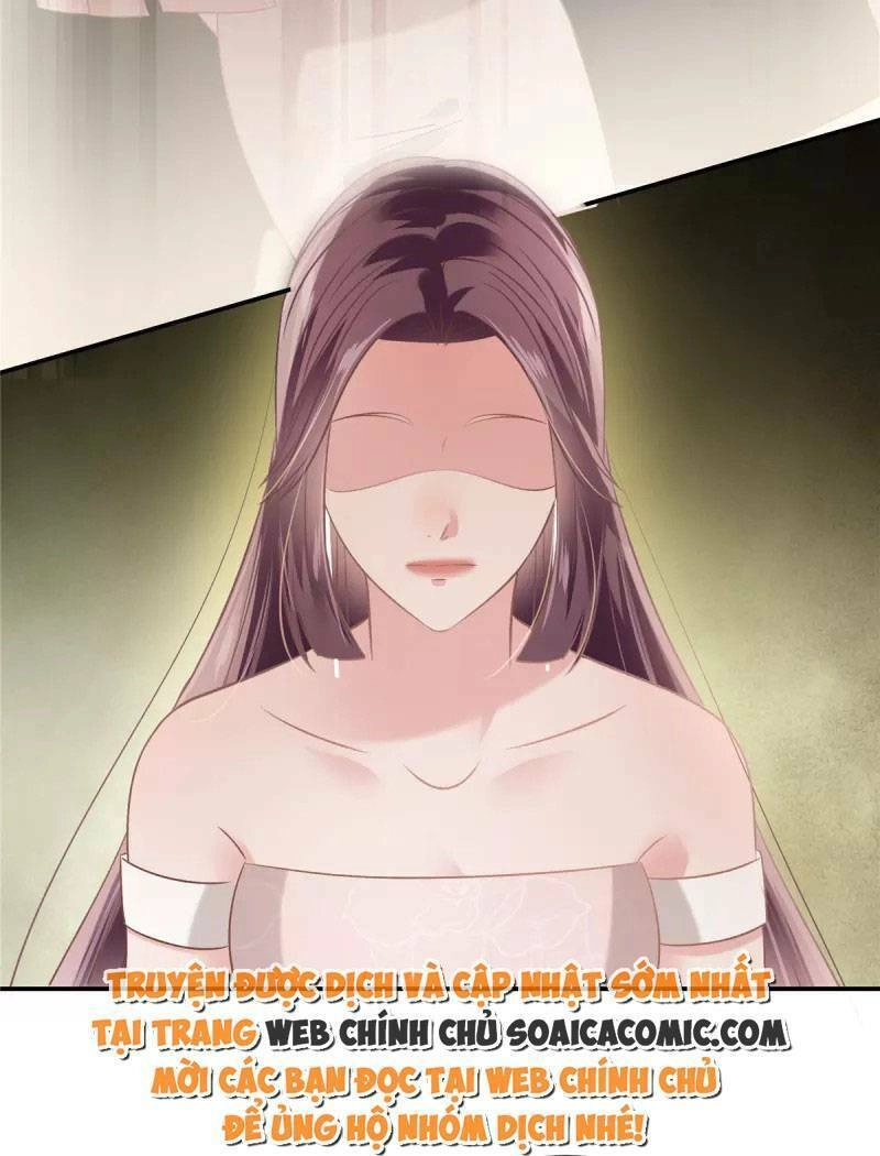 Trọng Sinh Trở Lại: Sủng Nịch Độc Nhất Vô Nhị Chapter 226 - 3