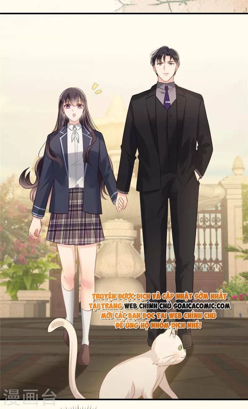 Trọng Sinh Trở Lại: Sủng Nịch Độc Nhất Vô Nhị Chapter 226 - 18