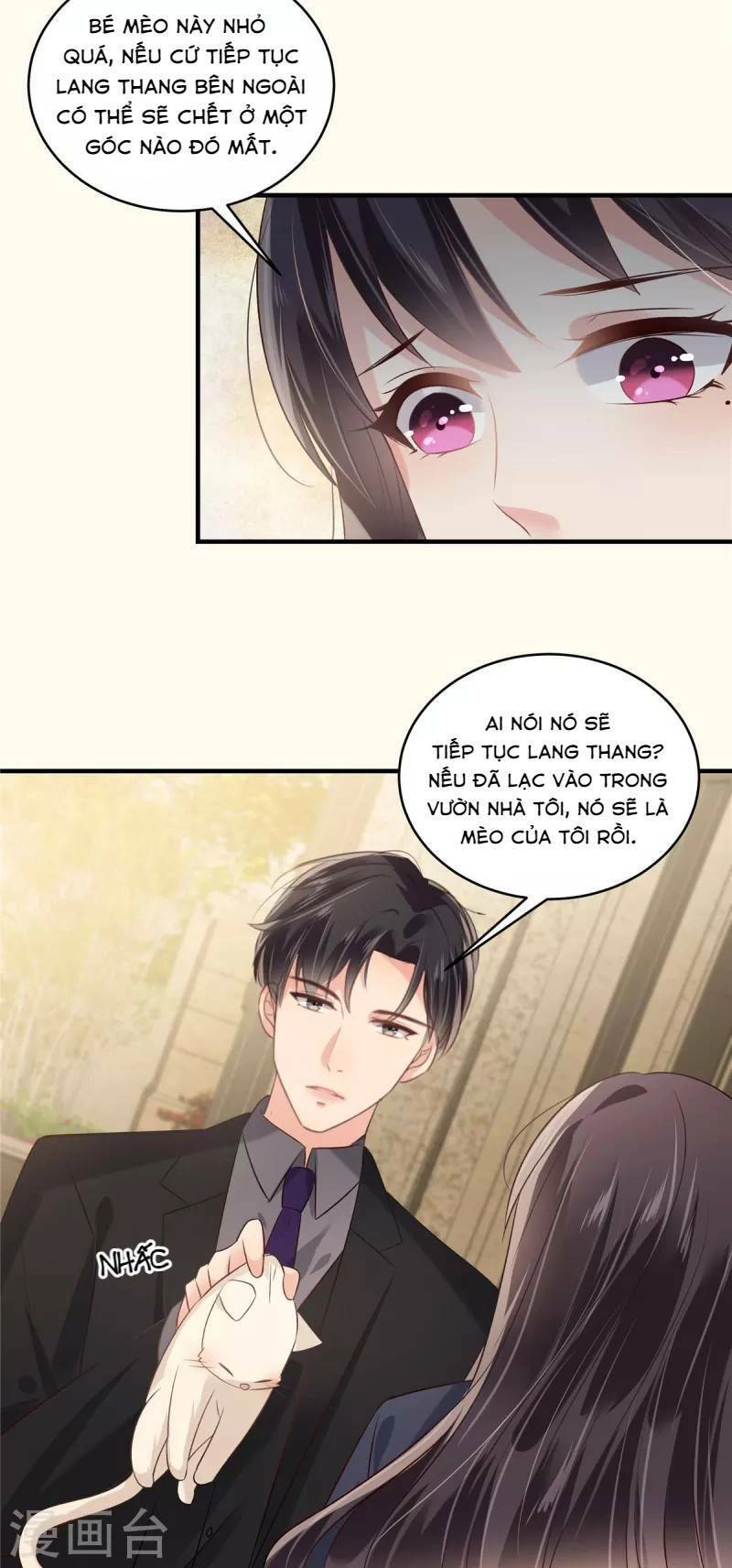 Trọng Sinh Trở Lại: Sủng Nịch Độc Nhất Vô Nhị Chapter 226 - 23