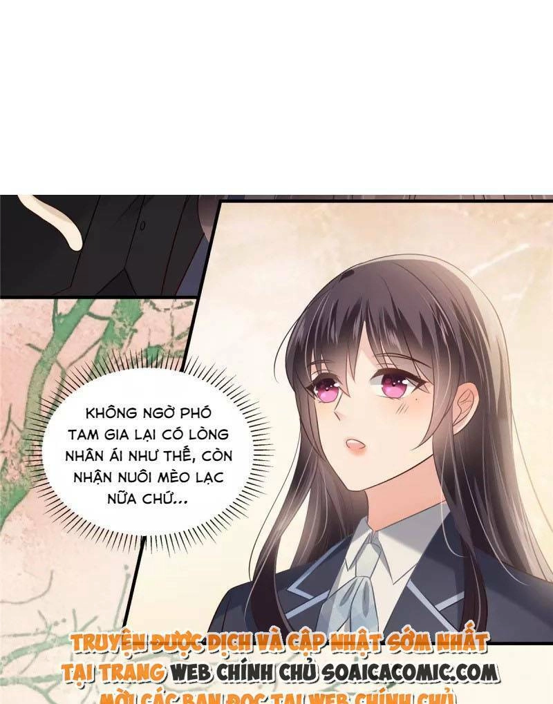 Trọng Sinh Trở Lại: Sủng Nịch Độc Nhất Vô Nhị Chapter 226 - 24