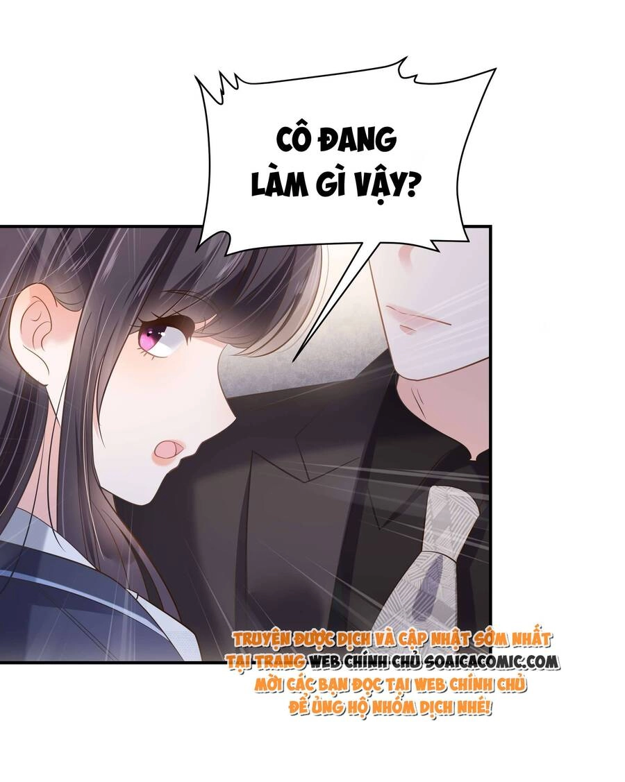 Trọng Sinh Trở Lại: Sủng Nịch Độc Nhất Vô Nhị Chapter 232 - 2