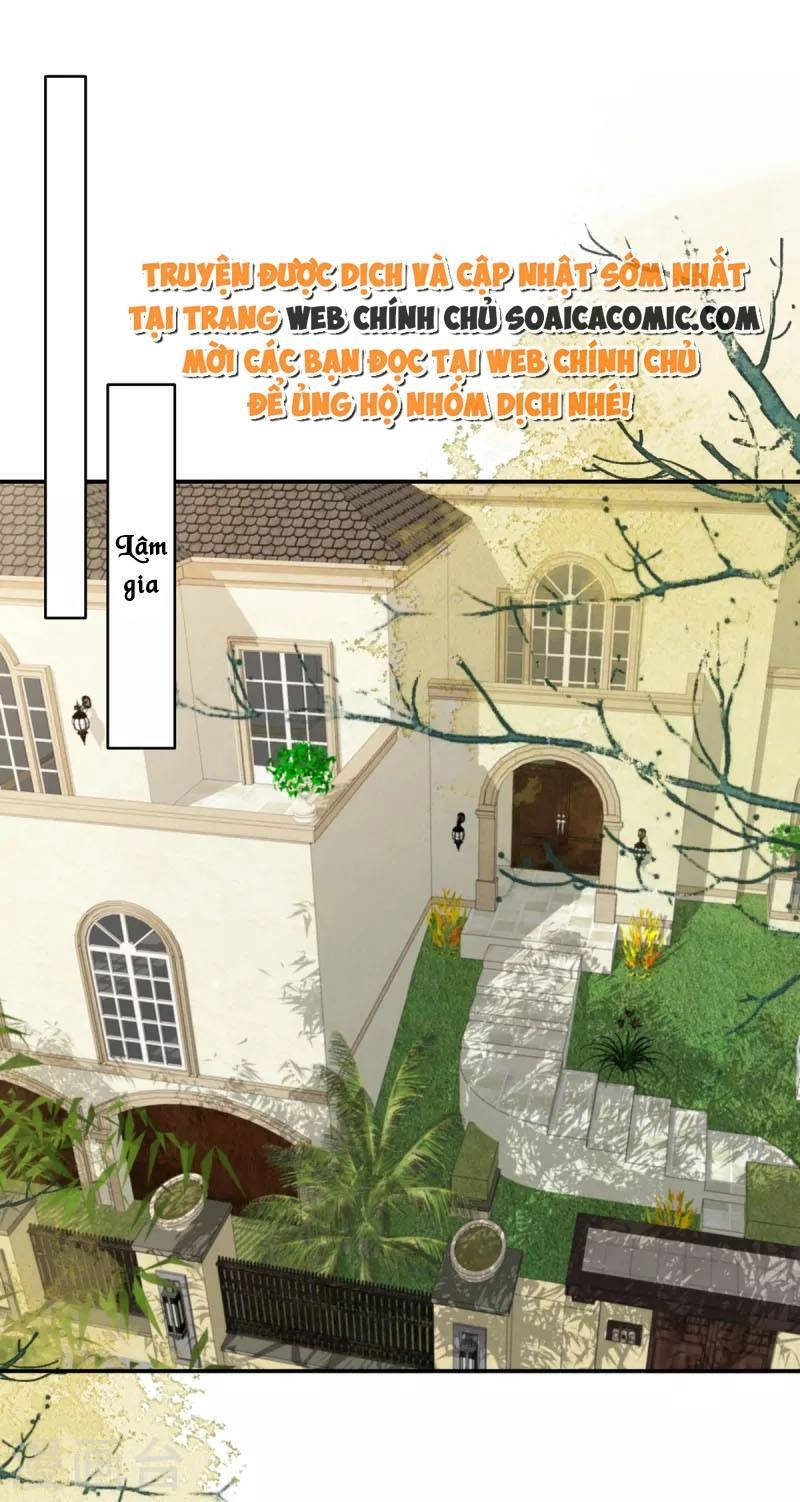 Trọng Sinh Trở Lại: Sủng Nịch Độc Nhất Vô Nhị Chapter 235 - 2