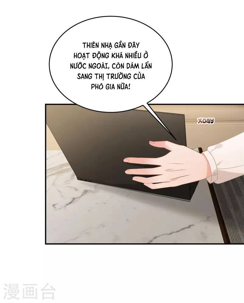 Trọng Sinh Trở Lại: Sủng Nịch Độc Nhất Vô Nhị Chapter 238 - 4