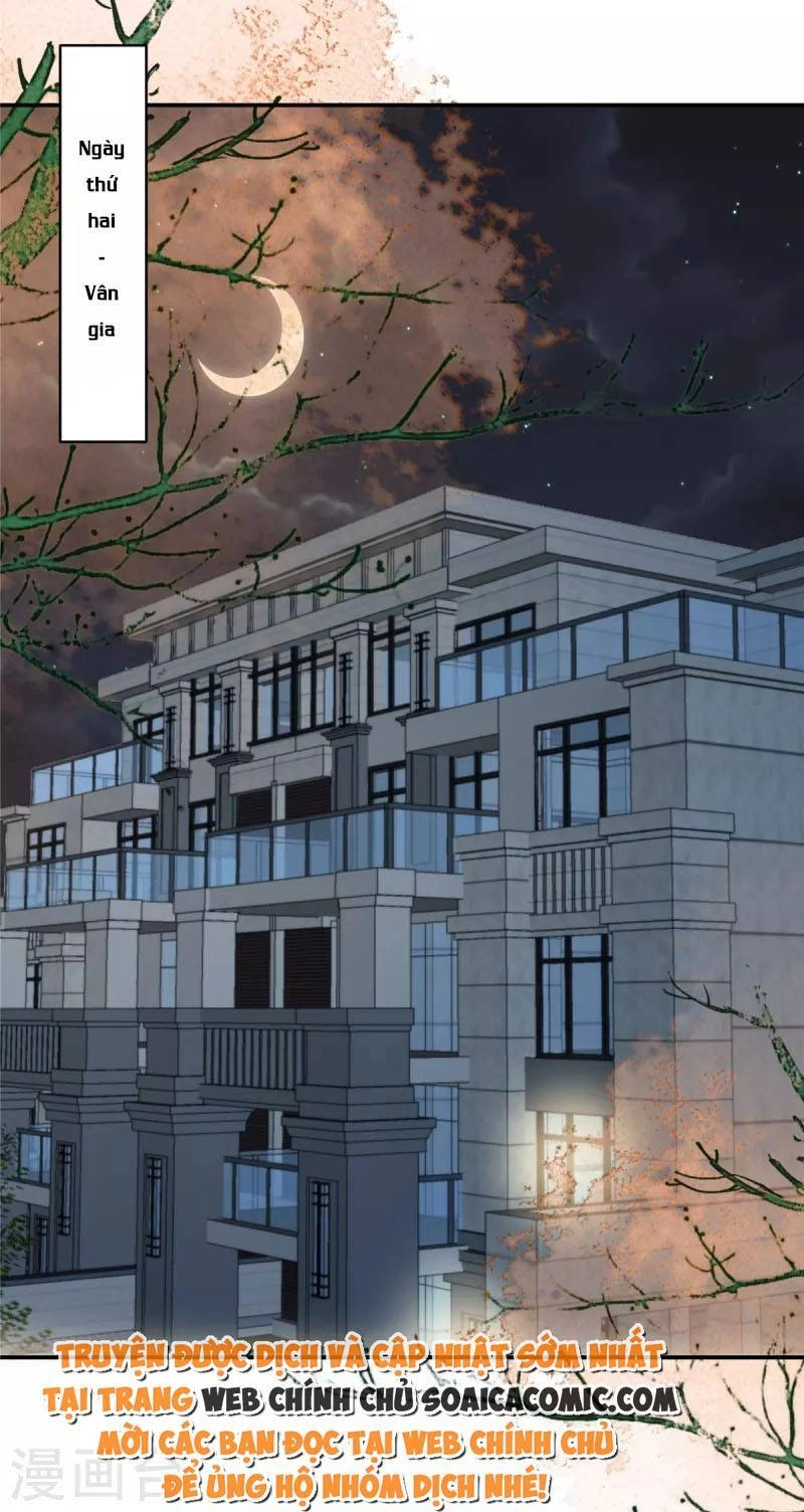 Trọng Sinh Trở Lại: Sủng Nịch Độc Nhất Vô Nhị Chapter 239 - 6