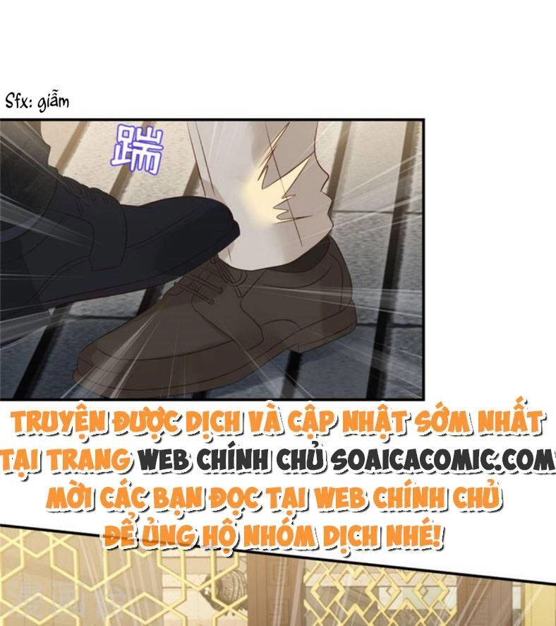 Trọng Sinh Trở Lại: Sủng Nịch Độc Nhất Vô Nhị Chapter 255 - 12