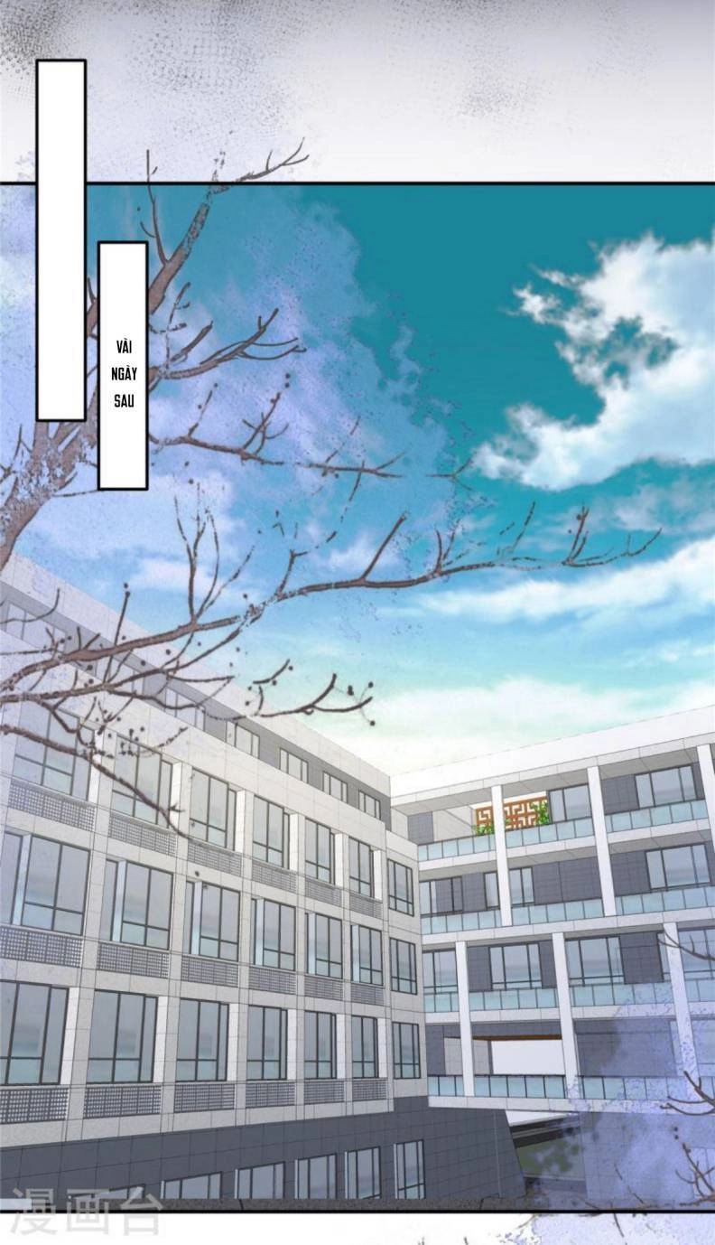 Trọng Sinh Trở Lại: Sủng Nịch Độc Nhất Vô Nhị Chapter 257 - 17