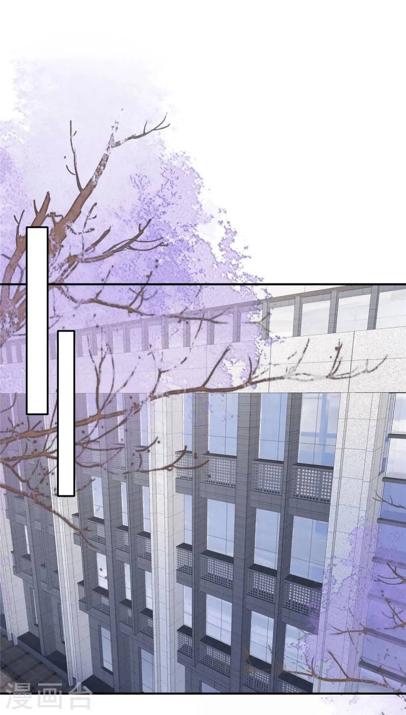 Trọng Sinh Trở Lại: Sủng Nịch Độc Nhất Vô Nhị Chapter 258 - 10