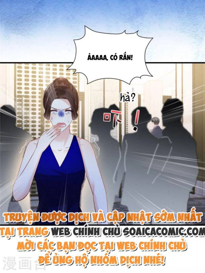 Trọng Sinh Trở Lại: Sủng Nịch Độc Nhất Vô Nhị Chapter 264 - 17