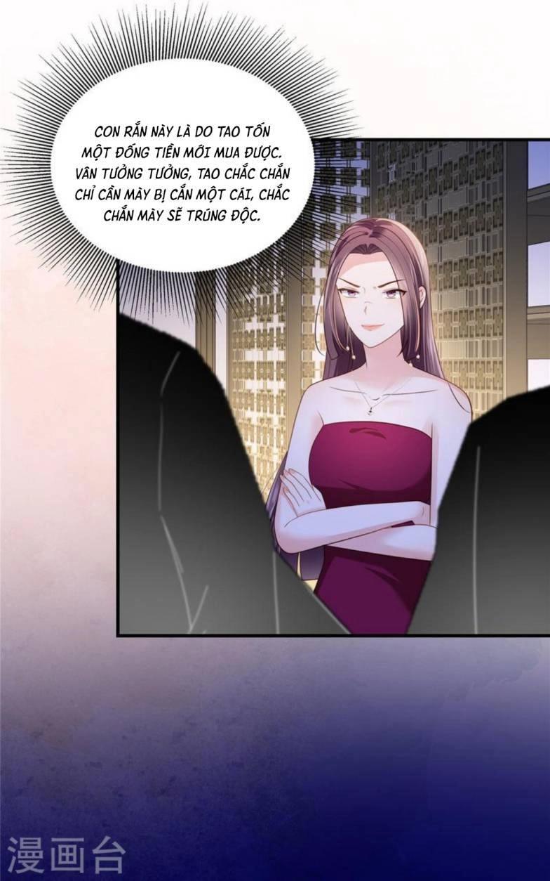 Trọng Sinh Trở Lại: Sủng Nịch Độc Nhất Vô Nhị Chapter 265 - 4