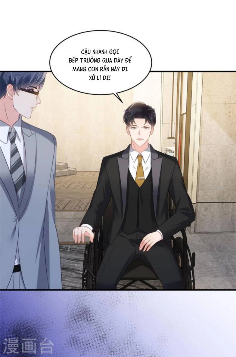 Trọng Sinh Trở Lại: Sủng Nịch Độc Nhất Vô Nhị Chapter 265 - 12